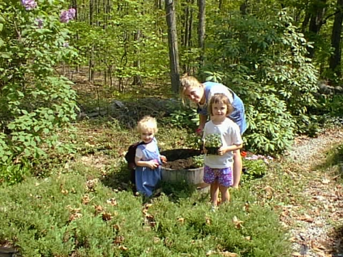 poppys-garden-2